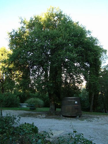 Agriturismo Il Villino Fonterutoli Экстерьер фото