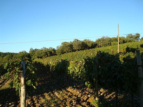 Agriturismo Il Villino Fonterutoli Экстерьер фото
