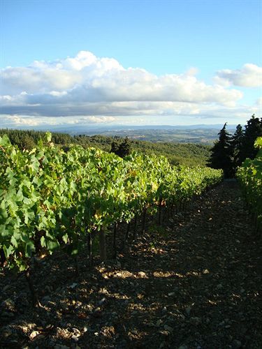 Agriturismo Il Villino Fonterutoli Экстерьер фото